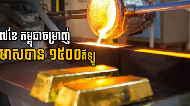 ត្រឹម ៧ ខែ កម្ពុជាចម្រាញ់រ៉ែមាសចេញពីអណ្ដូងនៅមណ្ឌលគិរី បានជាង ១៥០០គីឡូ