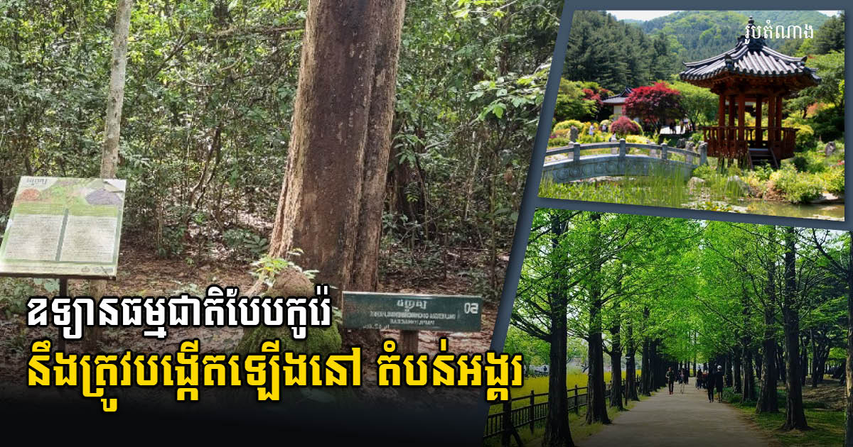 Korean-Style Forest Park to be Established Near Angkor Wat