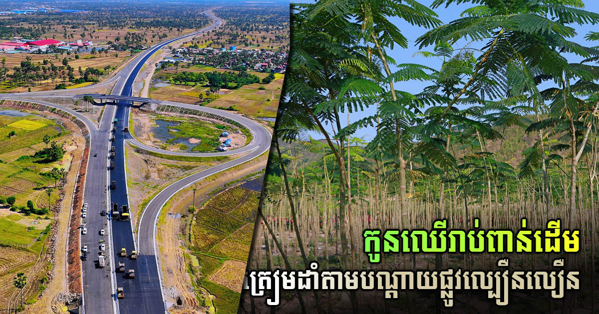 Chinese Firm Plants Thousands of Trees to Create 35km Green Belt Along PP-SHV Expressway