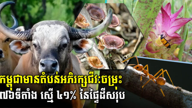 មេដឹកនាំអាស៊ាន ប្តេជ្ញាចិត្តជួយការពារតំបន់ជីវៈចម្រុះនៅកម្ពុជា  ខណៈបច្ចុប្បន្នមាន ៤១%នៃផ្ទៃដីសរុប