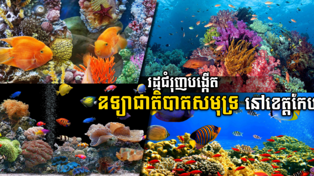 MoE urges to establish a seabed national park in Kep province