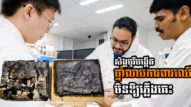 អ្នកស្រាវជ្រាវសិង្ហបុរីបង្កើតថ្នាំលាបការពារសំណង់ផ្ទះឈើ ឱ្យភ្លើងដុតមិនឆេះ