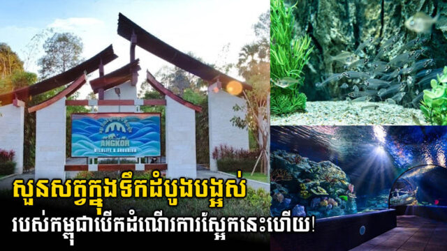 សួនសត្វ ត្រីទឹកសាប និងទឹកប្រៃ ដំបូងគេនៅកម្ពុជា បើកដំណើរការនៅខែវិច្ឆិកានេះ