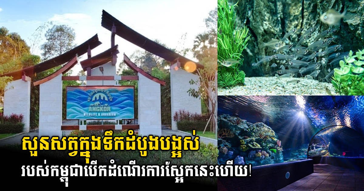 Cambodia’s First Wildlife & Aquarium Park Open in November