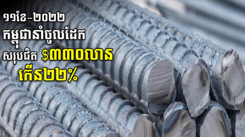 ១១ខែ ឆ្នាំ២០២២ កម្ពុជាបាននាំចូលដែកនិងដែកថែបសរុបជិត ៣៣០លានដុល្លារ កើន២២%