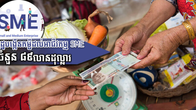 ត្រឹមឆ្នាំ២០២២ រដ្ឋផ្តល់កម្ចីដល់អាជីវកម្ម SME ចំនួន ៨៩លាន​ដុល្លារ