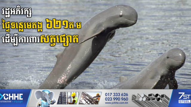 រដ្ឋដាក់តំបន់ទន្លេមេគង្គជាង ៦០០គីឡូម៉ែត្រក្រឡា ដើម្បីអភិរក្សការពារសត្វផ្សោត