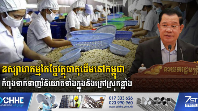 សក្តានុពលនៃឧស្សាហកម្មកែច្នៃវត្ថុធាតុដើមនៅកម្ពុជាកំពុងទាក់ទាញខ្លាំង