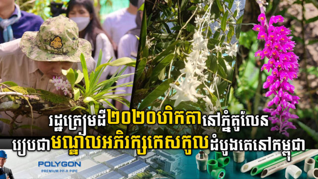 រដ្ឋត្រៀមដីទំហំ២០២០ហិកតា ដើម្បីរៀបជាមជ្ឈមណ្ឌលអភិរក្សកេសកូលភ្នំគូលែន