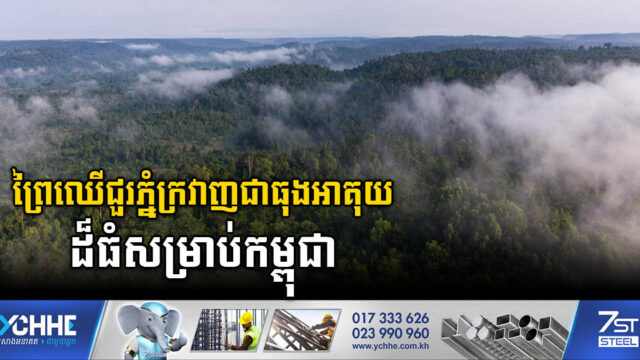 ព្រៃឈើជួរភ្នំក្រវាញជាធុងអាគុយផ្តល់ថាមពលអគ្គិសនីសរុបប្រមាណ ២០ភាគរយ សម្រាប់កម្ពុជា