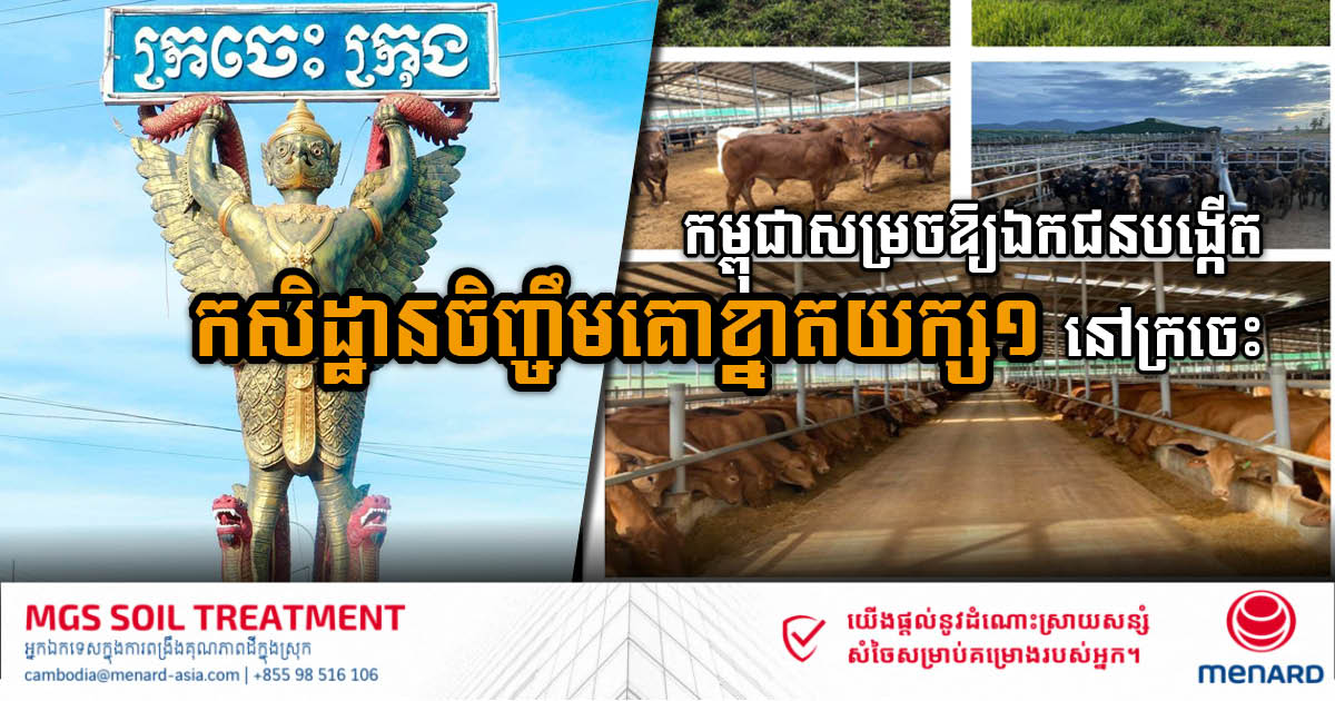 Gov’t approves US$85 million investments in cattle and rubber farms in Kratie and Preah Vihear