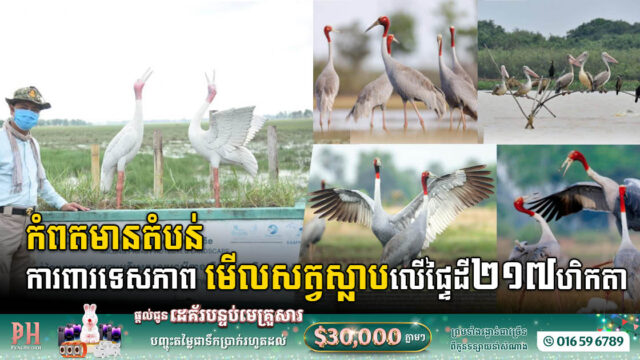 កំពតមានតំបន់ការពារទេសភាព ៤កន្លែង លើផ្ទៃដីទំហំ ២១៧ហិកតា