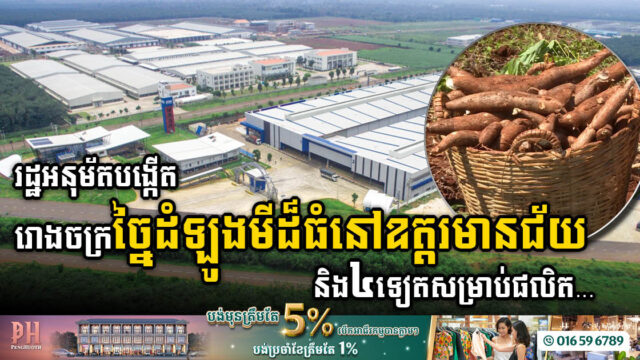 រោងចក្រថ្មី៥ នឹងបង្កើតនៅខេត្តក្រុង៥ ដើម្បីកែច្នៃដំឡូងមី និងផលិតសម្ភារសំខាន់ៗមួយចំនួនទៀត