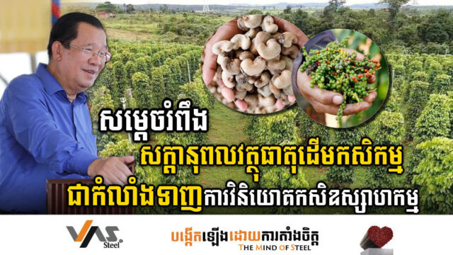 សម្តេច៖ សក្ដានុពលវត្ថុធាតុដើមនៅកម្ពុជា ជាកំលាំងទាញដ៏រឹងមាំសម្រាប់ការវិនិយោគកសិឧស្សាហកម្ម