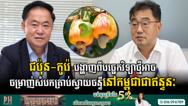 ជប៉ុន និង កូរ៉េ បង្ហាញពីសក្ដានុពលសំបកគ្រាប់ស្វាយចន្ទីនៅកម្ពុជាអាចចម្រាញ់ជាឥន្ទនៈបាន