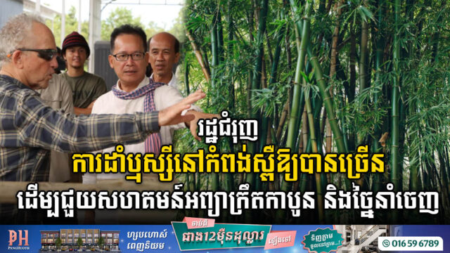 រដ្ឋជំរុញការដាំឬស្សីនៅកំពង់ស្ពឺឱ្យបានច្រើន ដើម្បជួយសហគមន៍អព្យាក្រឹតកាបូន និងច្នៃសម្រាប់នាំចេញ