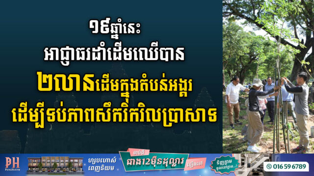 រយៈពេល ១៩ឆ្នាំ អាជ្ញាធរដាំដើមឈើបាន ២លានដើមក្នុងតំបន់អង្គរ ដើម្បីទប់ភាពសឹករិករិលប្រាសាទ