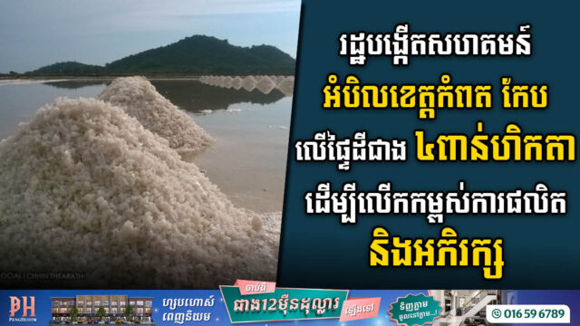 រដ្ឋបង្កើតសហគមន៍អំបិលខេត្តកំពត កែប ដែលមានផ្ទៃដីជាង ៤ពាន់ហិកតា ដើម្បីលើកកម្ពស់ការផលិត និងអភិរក្ស