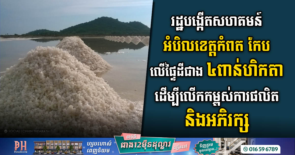 រដ្ឋបង្កើតសហគមន៍អំបិលខេត្តកំពត កែប ដែលមានផ្ទៃដីជាង ៤ពាន់ហិកតា ដើម្បីលើកកម្ពស់ការផលិត និងអភិរក្ស