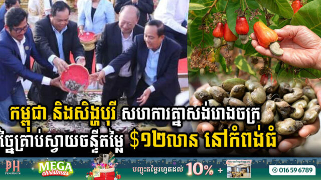 កម្ពុជា និងសិង្ហបុរី សហការគ្នាសង់រោងចក្រច្នៃគ្រាប់ស្វាយចន្ទីតម្លៃ ១២លានដុល្លារ នៅកំពង់ធំ