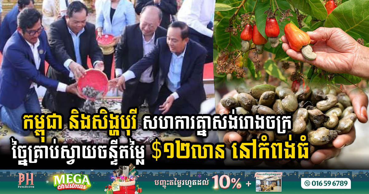 Cambodia & Singapore Unveil US$12 Million State-of-the-Art Cashew Processing Plant in Kampong Thom