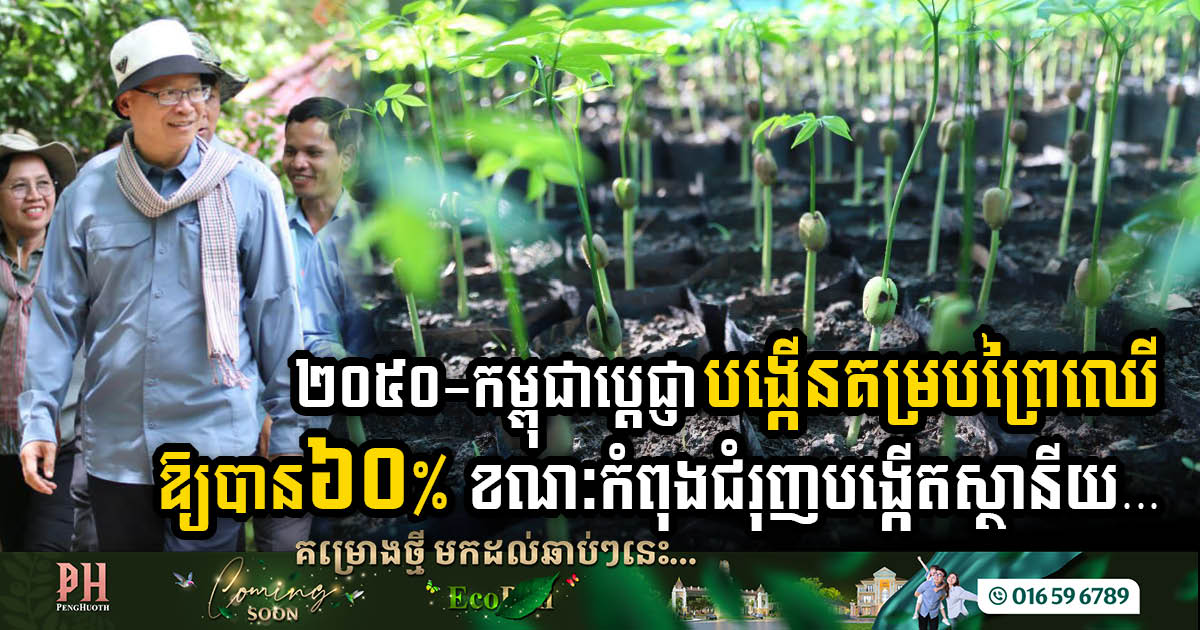 Green Horizon 2050: Cambodia’s Ambitious Forest Cover Pledge and International Nursery Initiative