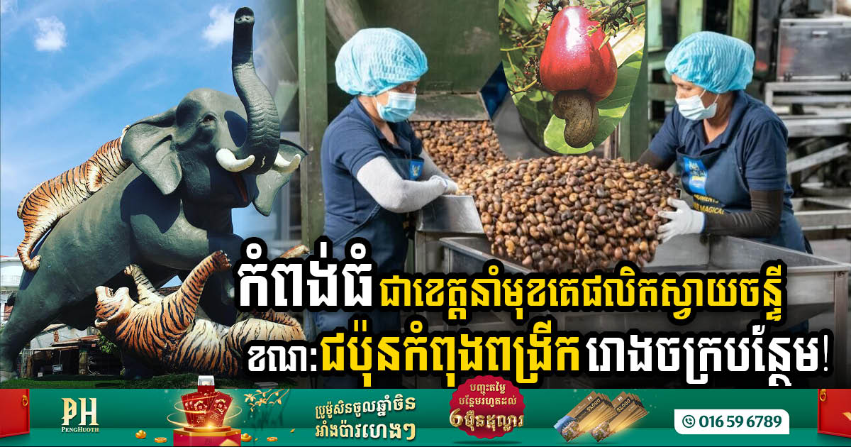 Japanese Firm Invests Over US$1m in Kampong Thom Cashew Processing Plant Expansion