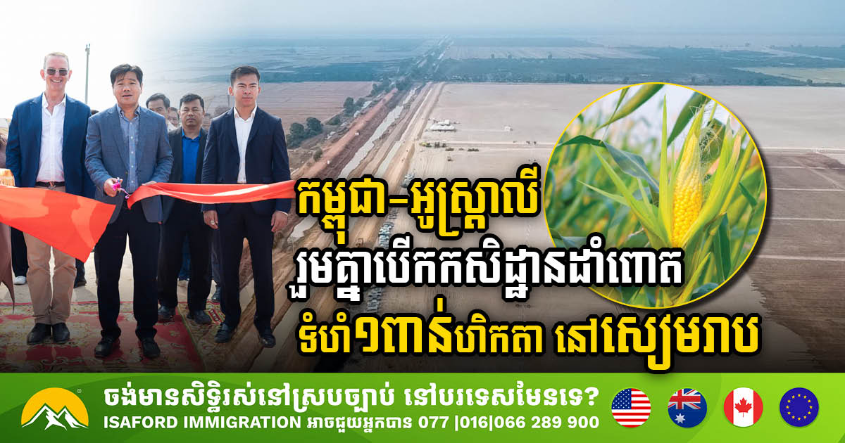 Australian-Cambodian Partnership Launches 1,000-Hectare Smart Corn Farm in Siem Reap