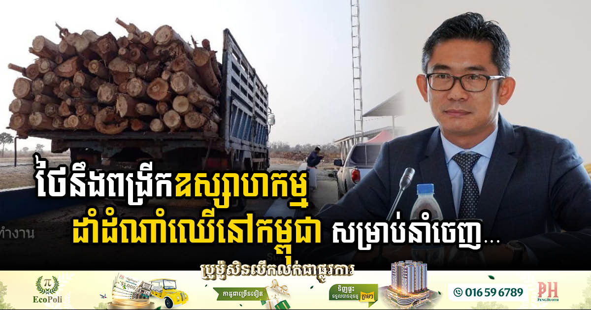 Thailand’s Paper Tree Eyes Expansion in Cambodia’s Horticultural Industry for Export