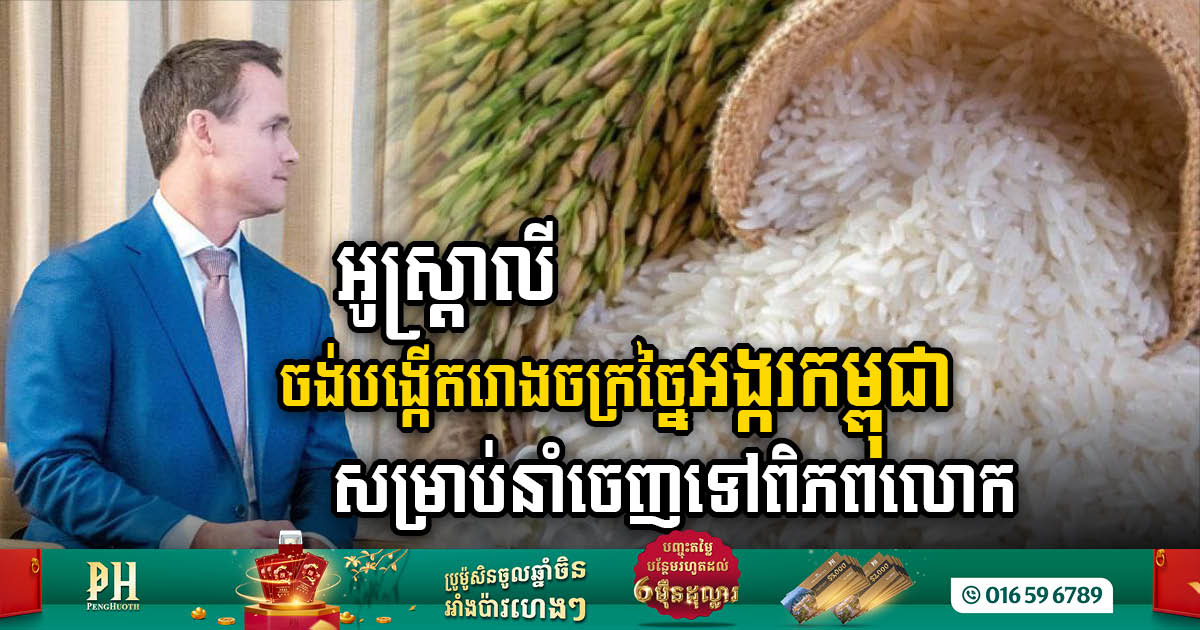 SunRice Group Eyes Cambodia for Organic Rice Processing Plant, Opening New Avenues for Export