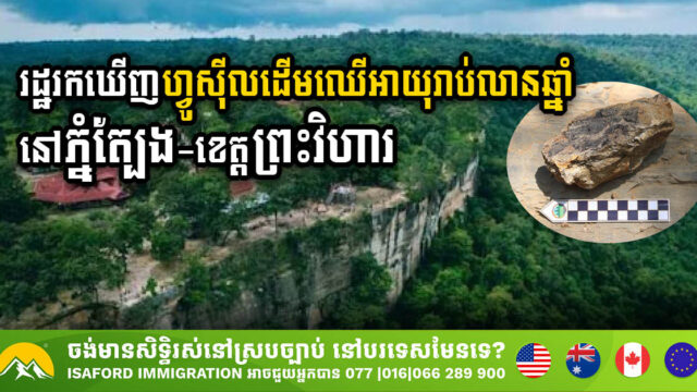 មន្ត្រីជំនាញរកឃើញហ្វូស៊ីលដើមឈើអាយុរាប់លានឆ្នាំ នៅតំបន់បេតិកភណ្ឌធម្មជាតិភ្នំត្បែង