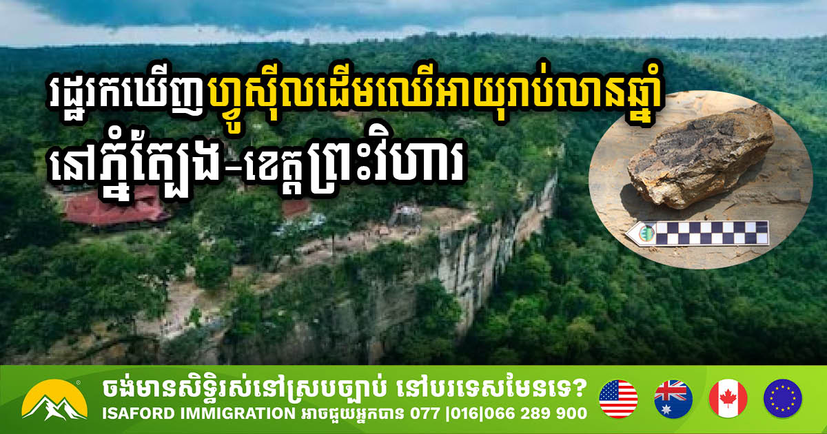 Remarkable Discovery: Ancient Tree Fossils Unearthed at Phnom Tbeng Natural Heritage Site