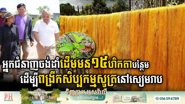 ក្រុមហ៊ុនអាទីហ្សង់អង្គរ ចង់ដាំដើមមន ១៥ហិកតាបន្ថែមនៅសៀមរាប ដើម្បីពង្រីកផលិតកម្មសូត្រខ្មែរ