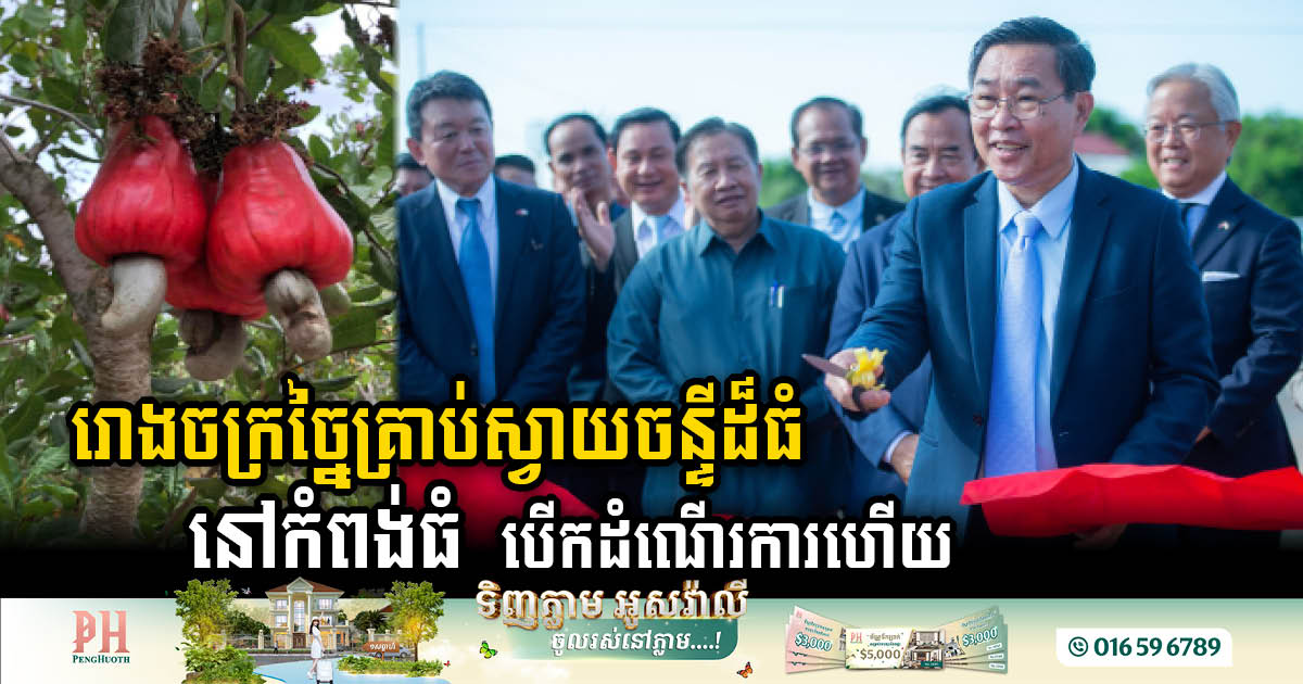 Large Kampong Thom Cashew Processing Factory with Capacity of 1.5k tons Officially Inaugurated