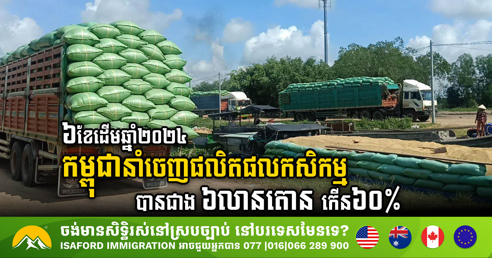 Cambodia Sees 60% Surge in Agricultural Exports in First Half of 2024