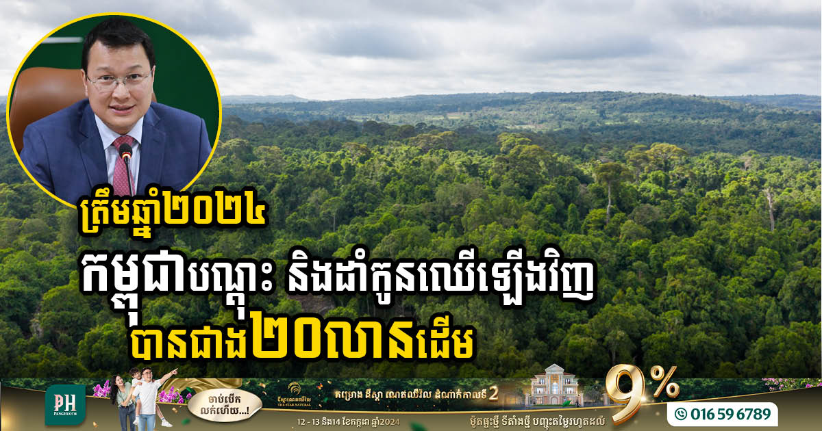 Cambodia Surpasses Goal with Over 20 Million Seedlings Planted by 2024