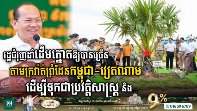 រដ្ឋជំរុញការដាំដើមត្នោតឱ្យបានច្រើននៅតាមក្រវ៉ាត់ព្រំដែនកម្ពុជា-វៀតណាម ដើម្បីទុកជាប្រវត្តិសាស្រ្ត និង…