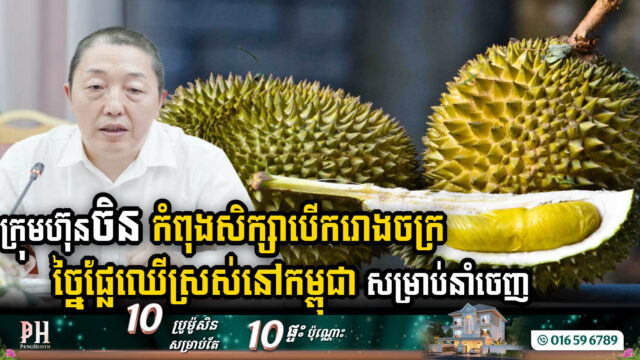 ក្រុមហ៊ុនចិន កំពុងសិក្សាសង់រោងចក្រកែច្នៃផ្លែឈើស្រស់នៅកម្ពុជា សម្រាប់នាំចេញ