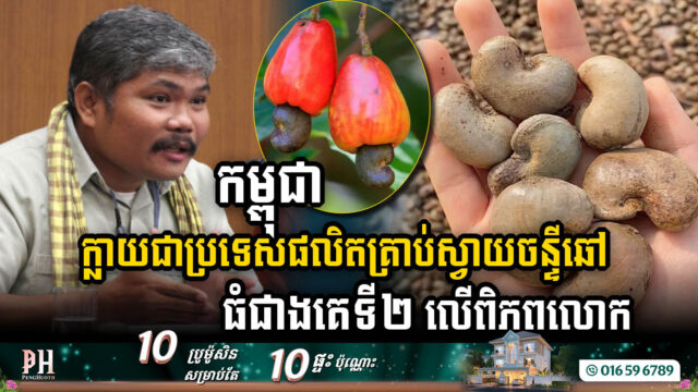 កម្ពុជា បានក្លាយជាប្រទេសផលិត​គ្រាប់​ស្វាយចន្ទី​ឆៅ​ច្រើន​ជាង​គេលំដាប​ទី​២ លើ​ពិភពលោក