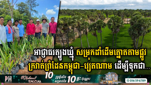 អាជ្ញាធរ និងពលរដ្ឋខេត្តត្បូងឃ្មុំ រួមគ្នាដាំដើមត្នោត នៅតាមខ្សែក្រវាត់ព្រំដែនកម្ពុជា-វៀតណាម