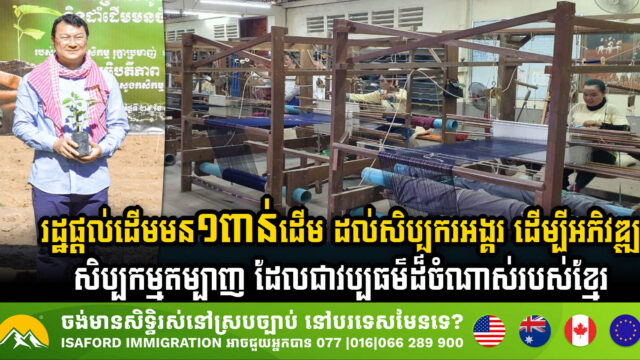 រដ្ឋផ្តល់ដើមមន១ពាន់ដើម ដល់សិប្បករអង្គរ ដើម្បីអភិវឌ្ឍន៍សិប្បកម្មតម្បាញ ដែលជាវប្បធម៌ដ៏ចំណាស់របស់ខ្មែរ