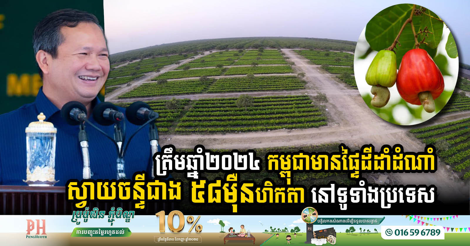 Cambodia’s Cashew Sector Flourishes with Over 580K Hectares of Plantations and 839k tones, 36% increase,  in 2024