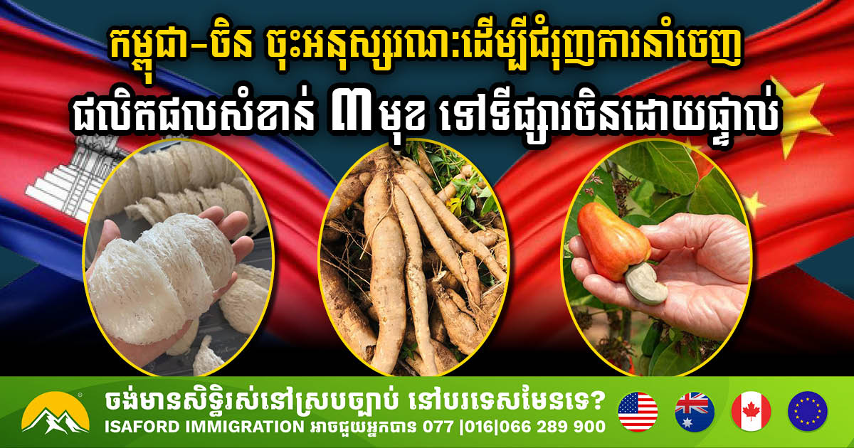 Cambodia Secures MoU on Direct Export Deal with China for Cashews, Cassava, & Bird Nests