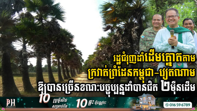 រដ្ឋគ្រោងដំាដើមត្នោត ៣ម៉ឺនដើមថែមទៀតនៅតាមព្រំដែនកម្ពុជា-វៀតណាម ខណៈដាំបានជិត ២ម៉ឺនហើយ