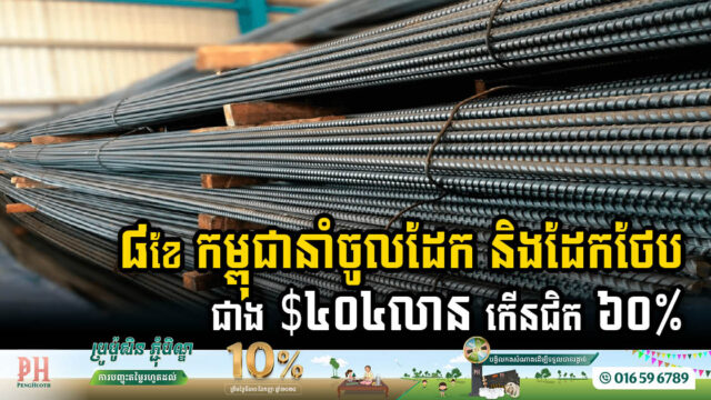 ៨ខែ ដើមឆ្នាំ២០២៤ កម្ពុជានាំចូលដែក និងដែកថែបជាង ៤០៤លានដុល្លារ កើនជិត ៦០%