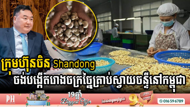 ក្រុមហ៊ុនឯកទេសដាំដំឡូងនិងស្វាយចន្ទី ចង់បង្កើនដើមទុនបង្កើតរោងចក្រច្នៃគ្រាប់ស្វាយចន្ទីនៅកម្ពុជា