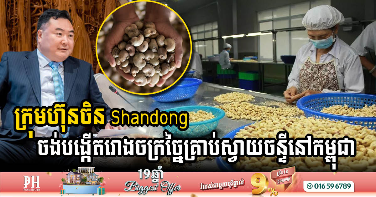 Chinese Firm Expands Investment with New Cashew Processing Plant in Cambodia