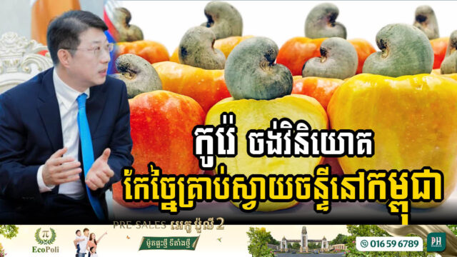 ក្រុមហ៊ុនផលិតសម្ភារៈសំណង់ឈានមុខគេនៅកូរ៉េ ចង់វិនិយោគកែច្នៃគ្រាប់ស្វាយចន្ទីនៅកម្ពុជា