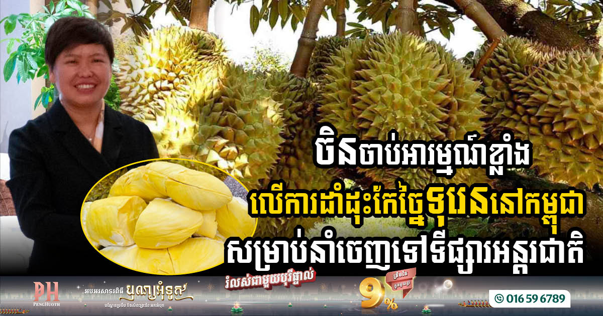 Chinese Firm Targets Cambodia for Large-Scale Durian Cultivation & Processing Hub