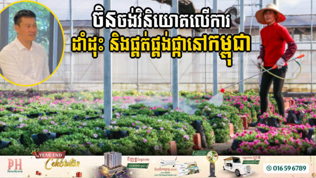 ក្រុមហ៊ុនចិន ចាប់អារម្មណ៍ចង់វិនិយោគលើវិស័យដាំដុះ និងផ្គត់ផ្គង់ផ្កានៅកម្ពុជា